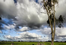 37岁19天！库里单节至少揽15分5板+5三分 NBA历史最老！.