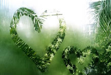 [国际足球]2025年世俱杯奖金总数达10亿美元.