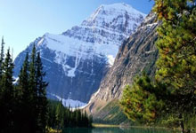 80分钟丢球全场2射正 罗马0-1阿尔克马尔无缘直通.