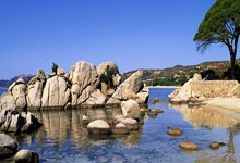 c7娱乐体育:兰德尔25+6+8 杜兰特23+6 布克14中4 森林狼横扫太阳.